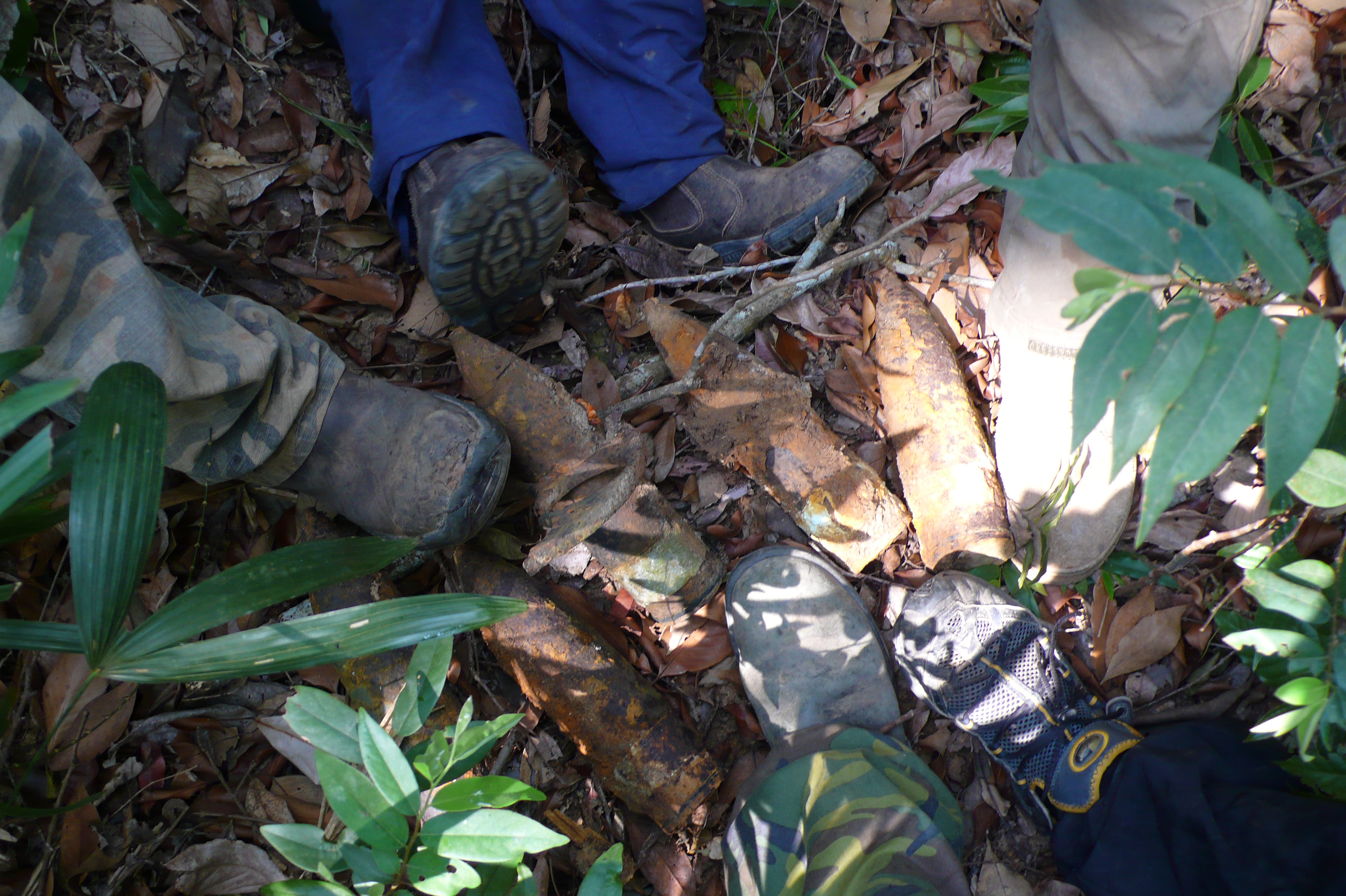 shells found in the jungle west of La Hap