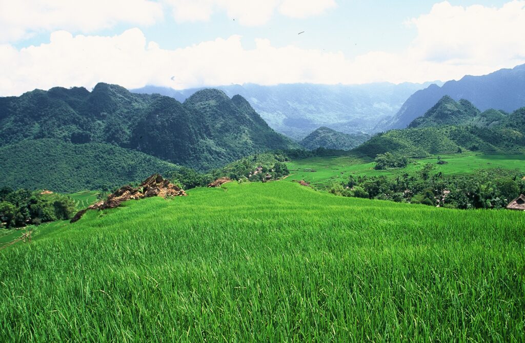 a rice field and mountains in Mai Chau, North Vietnam