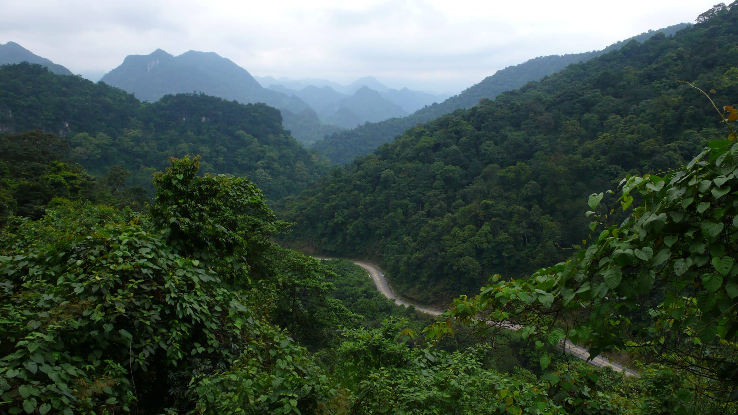 the Ho Chi Minh Trail through Phong Nha
