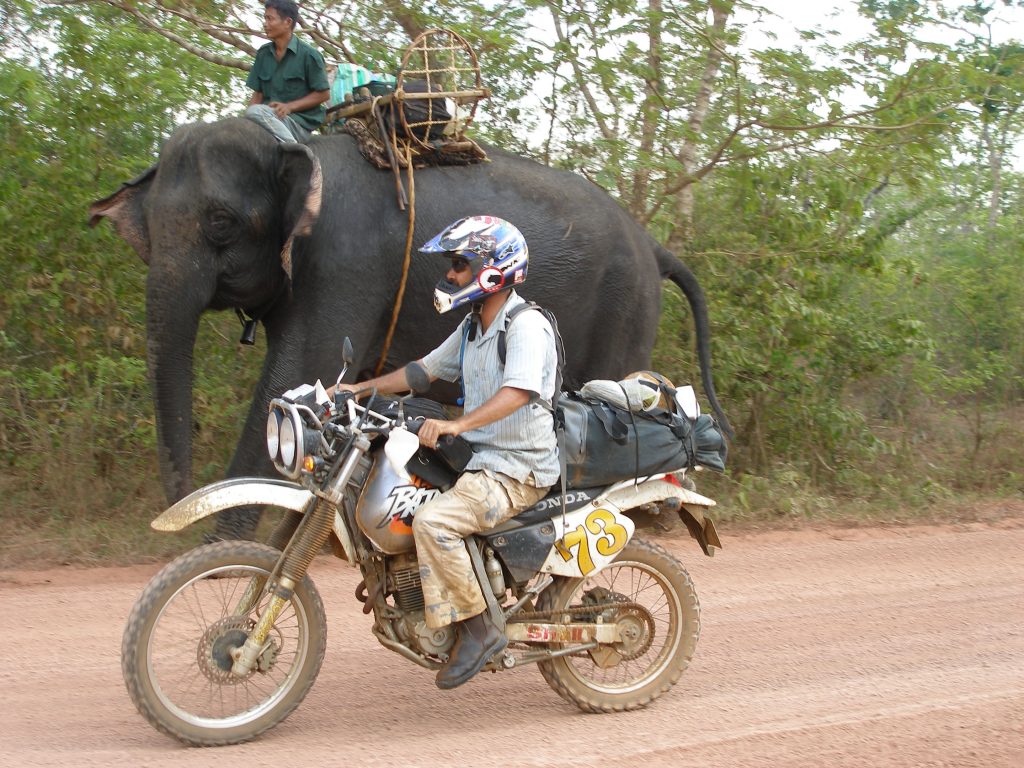 riding a dual sport past a man on an elephant in Laos