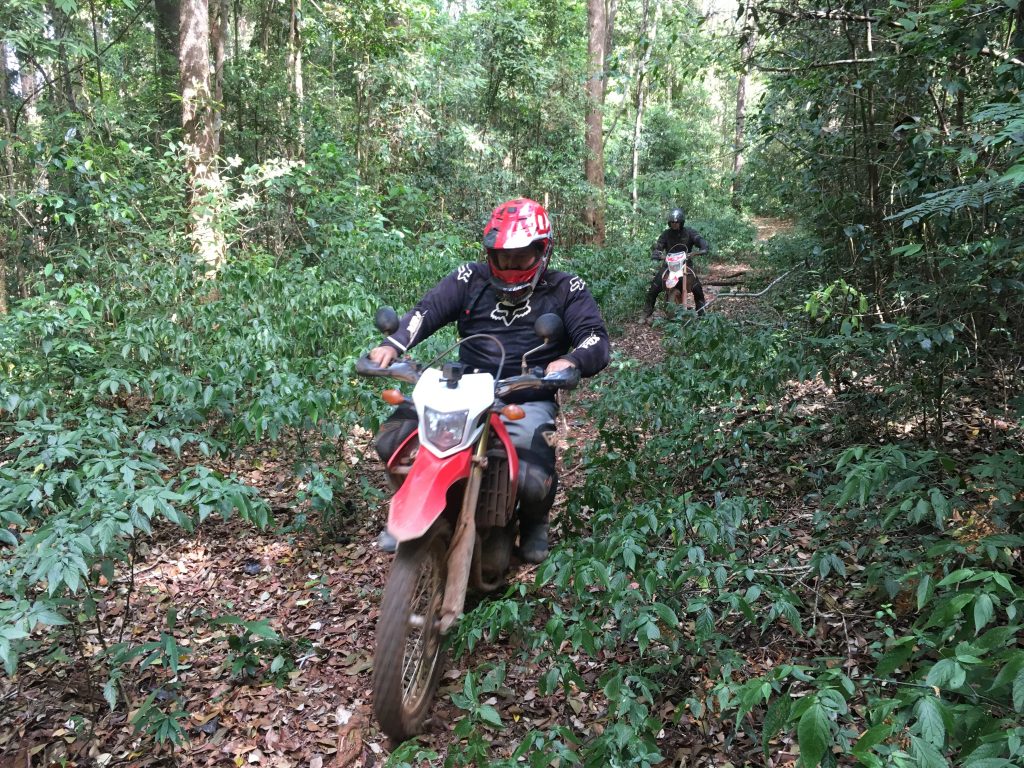 riding through the Laotian jungle