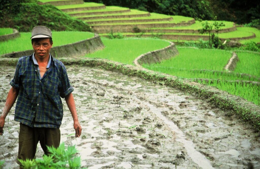 An Explore Indochina motorcycle tour passes the famous rice terraces of Mu Cang Chai
