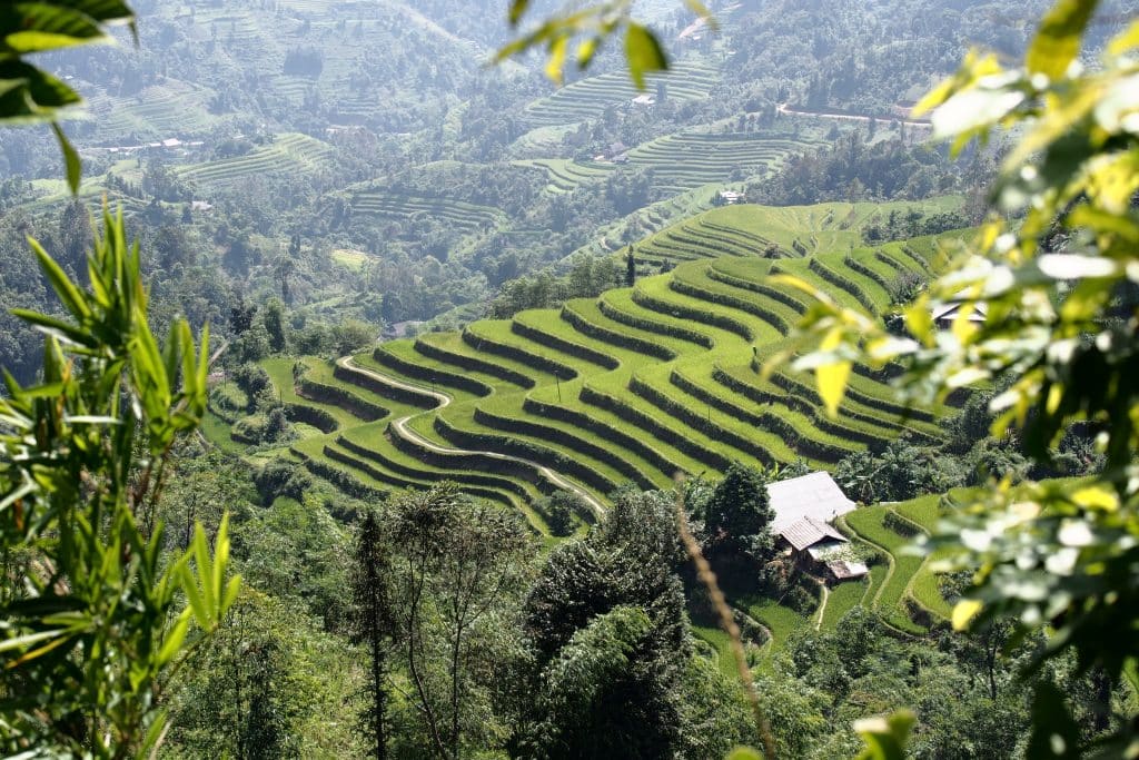 Rice terracing near the Deo Gio Pass