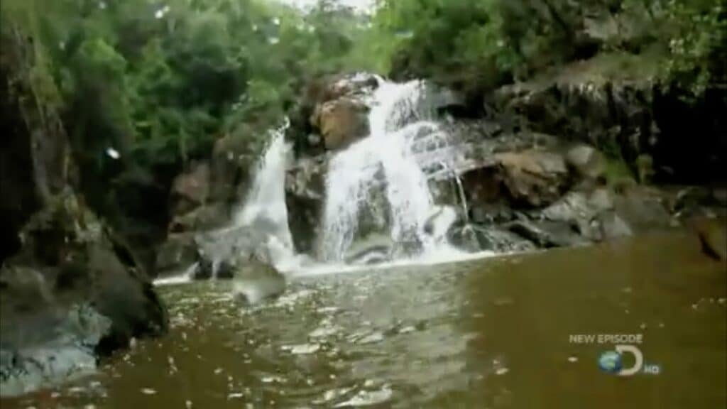 The stream before the dam manager opened it