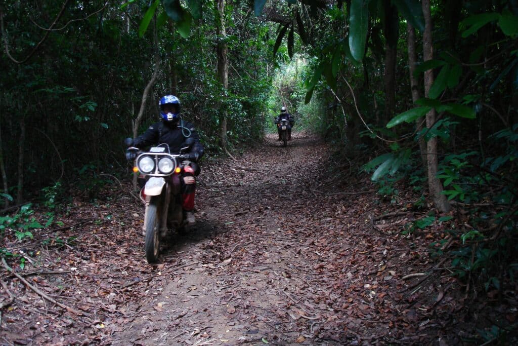 Jungle tracks on a Ho Chi Minh Trail motorcycle tour in Laos