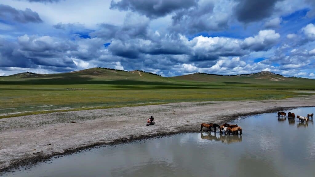 An Explore Indochina Mongolia motorbike tour member passes horses on the way to Lake Khovsgol