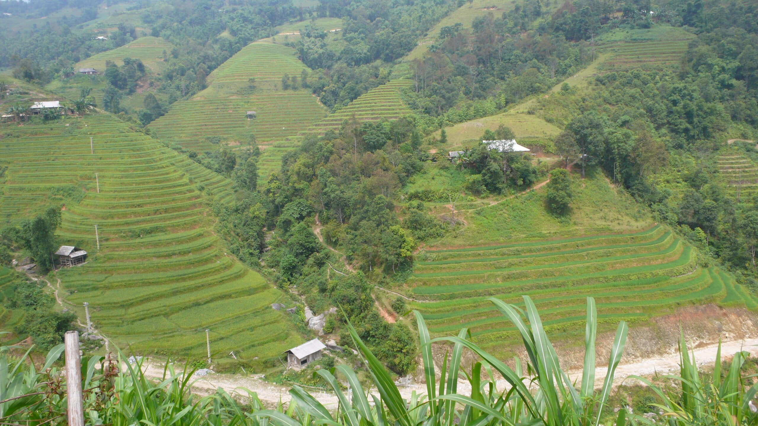 Explore Indochina Testimonials
