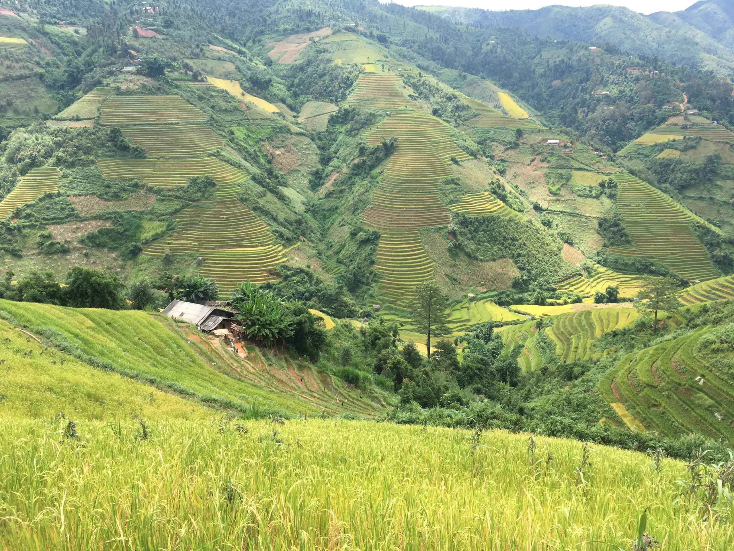 Explore Indochina Testimonials