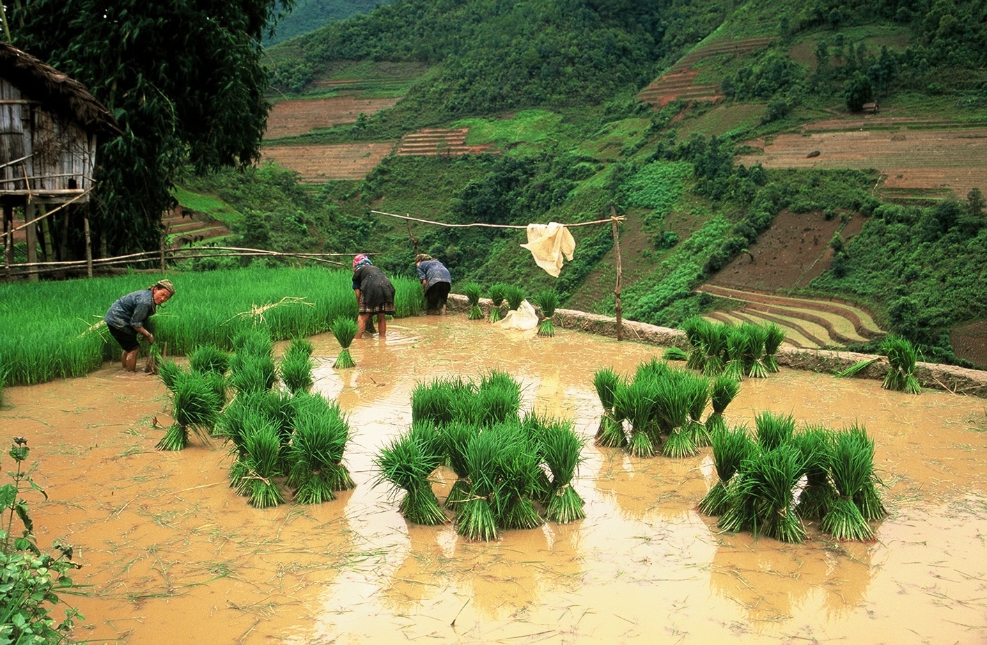 Explore Indochina Testimonials