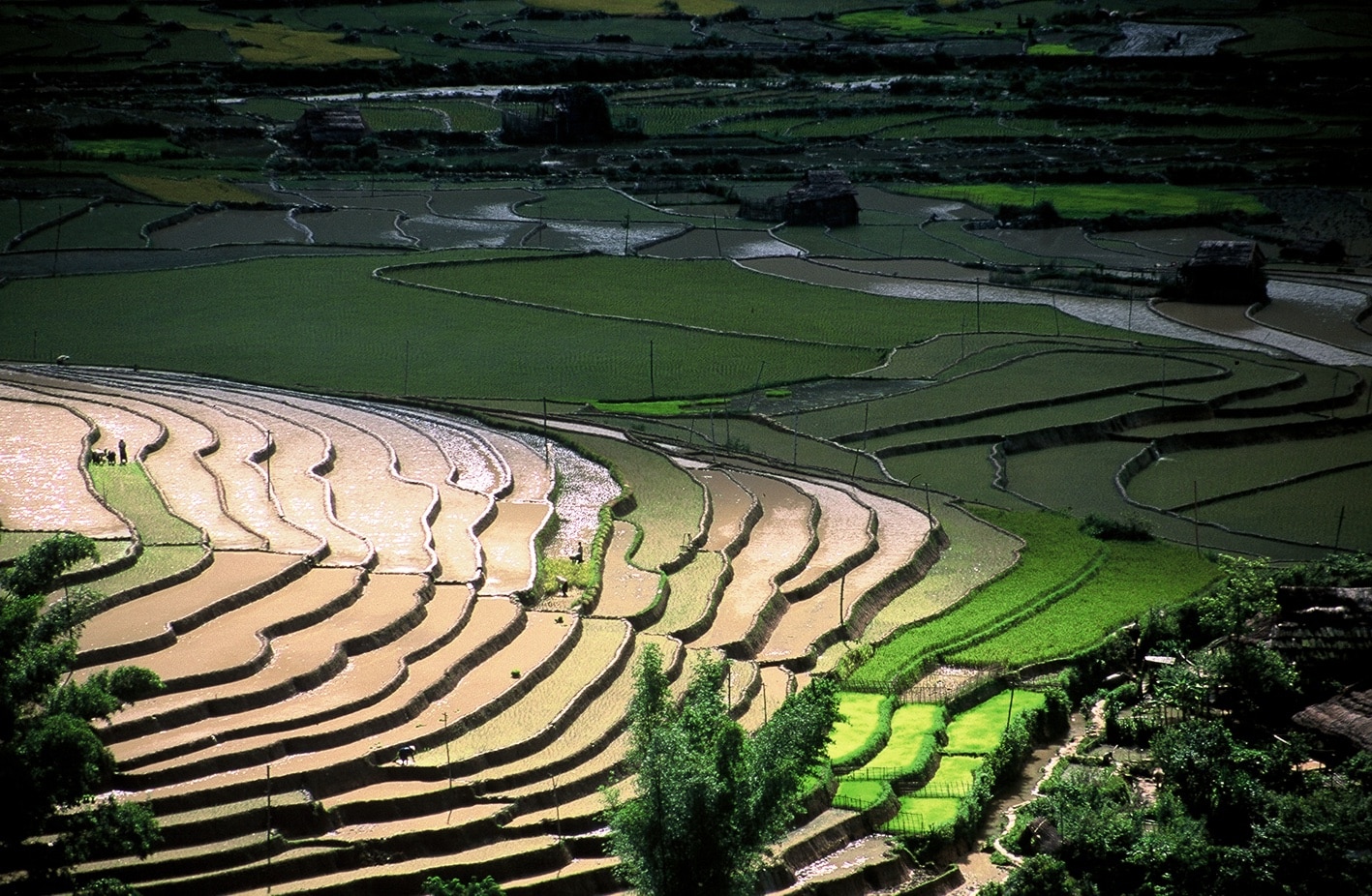 Explore Indochina Testimonials