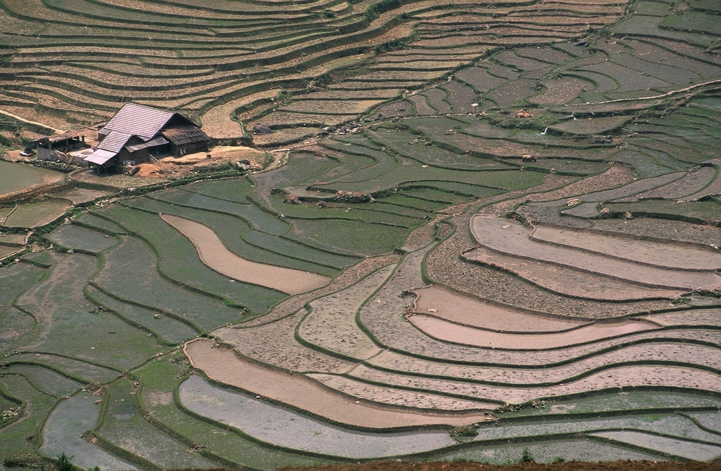Explore Indochina Testimonials