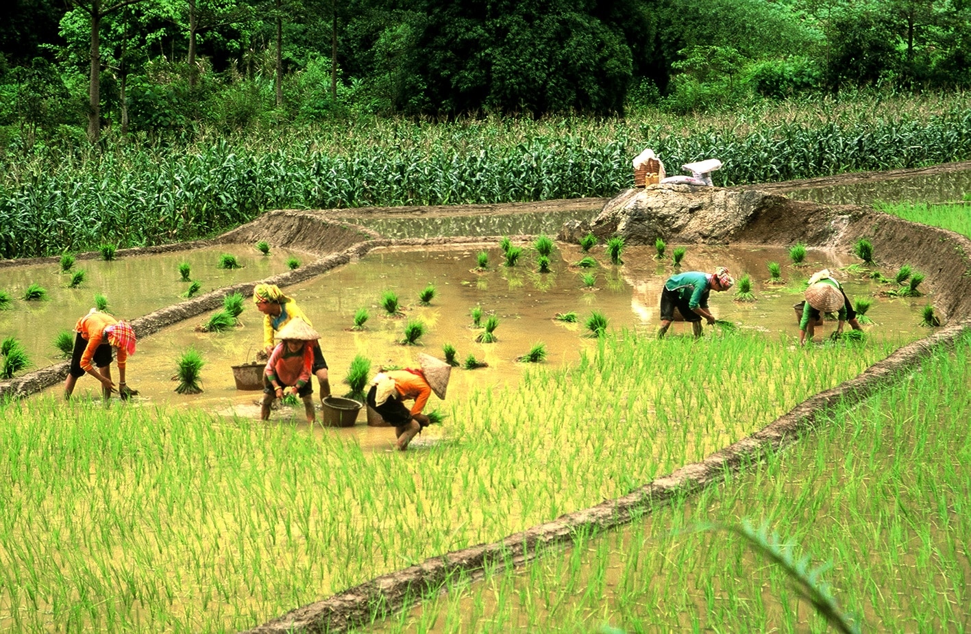 Explore Indochina Testimonials
