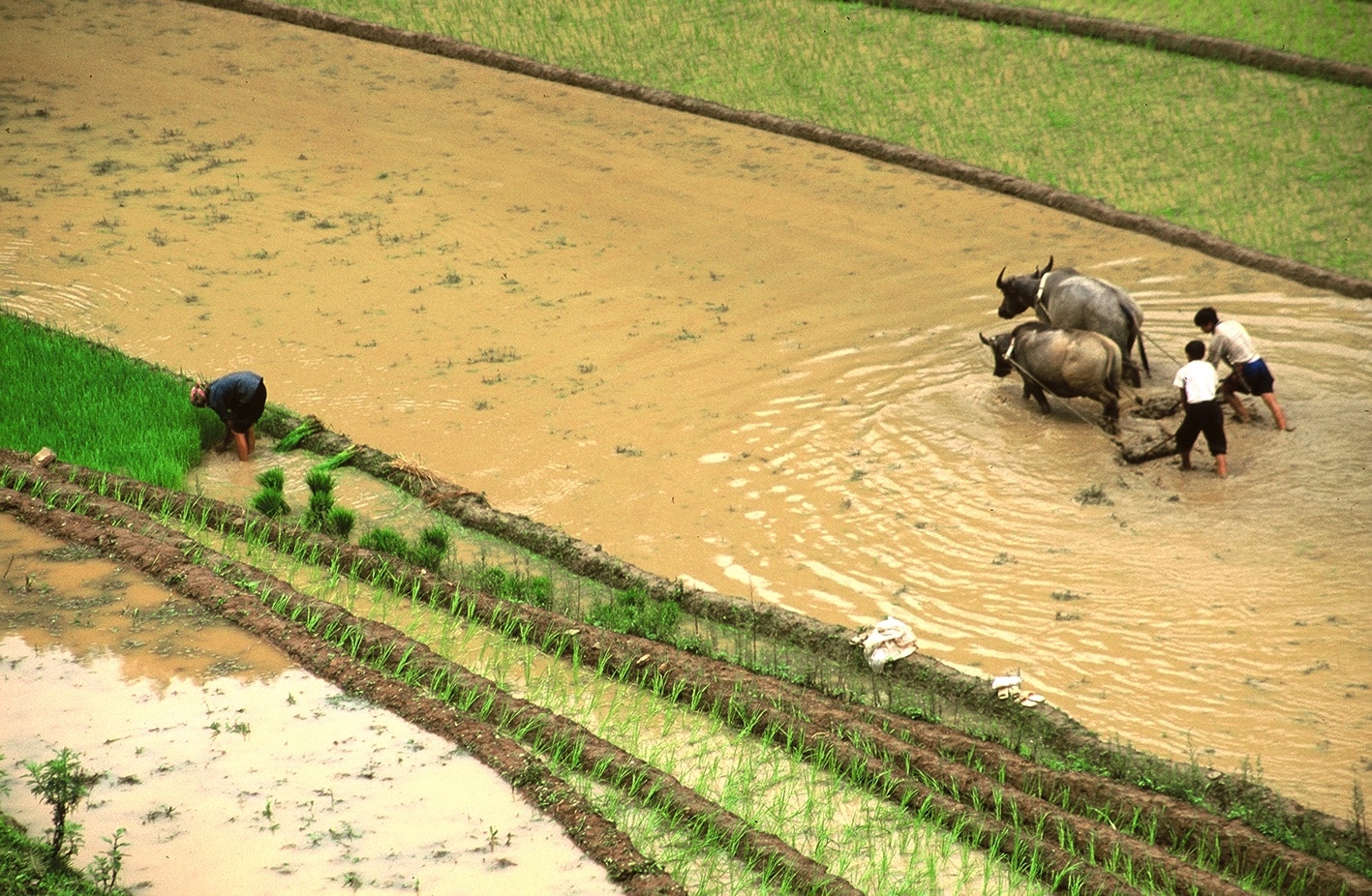 Explore Indochina Testimonials