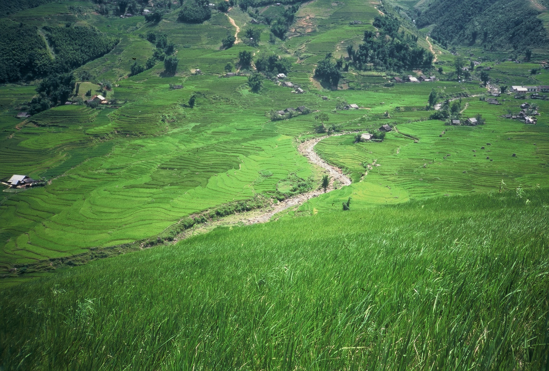 Explore Indochina Testimonials