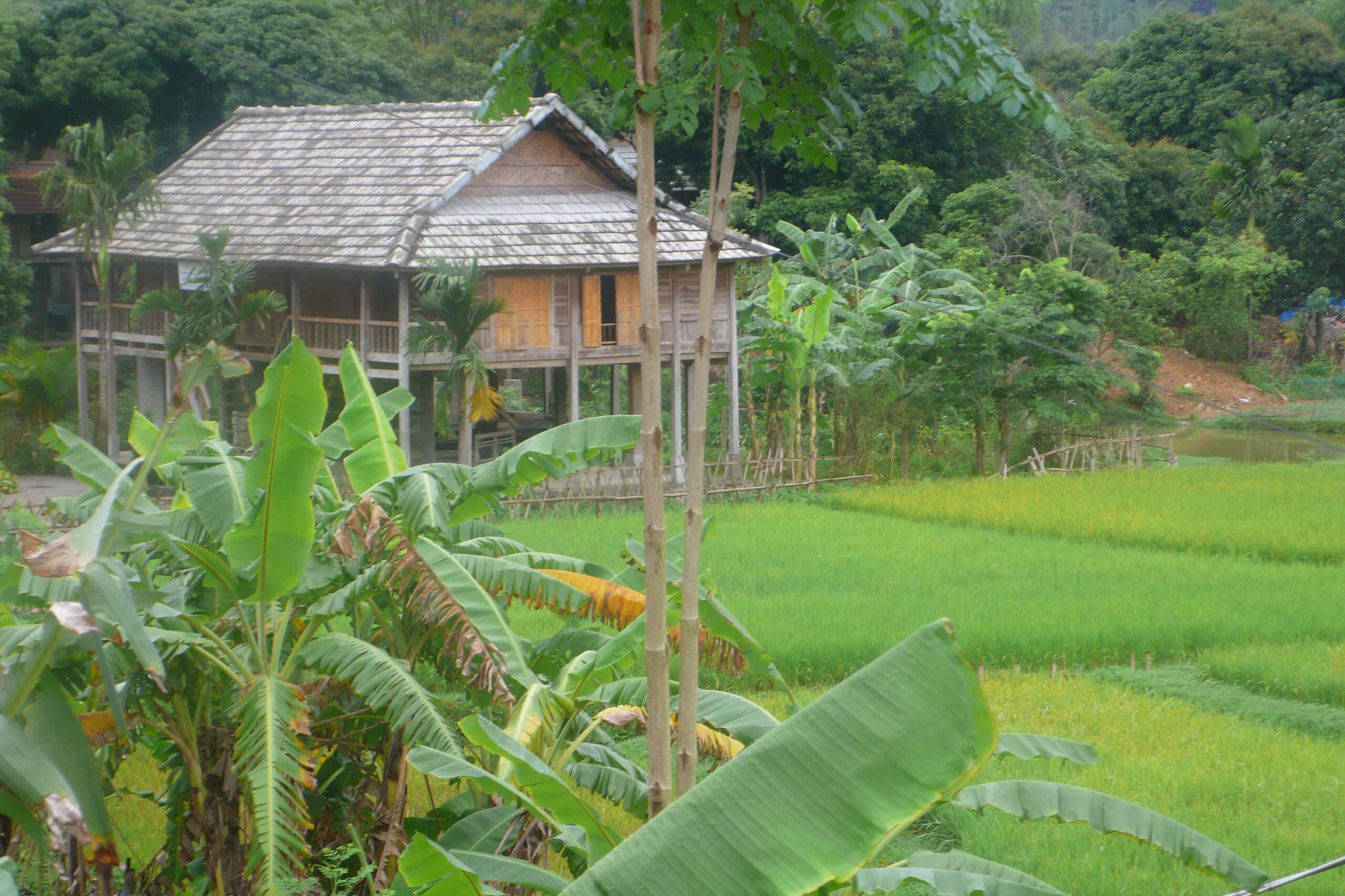 Explore Indochina Testimonials