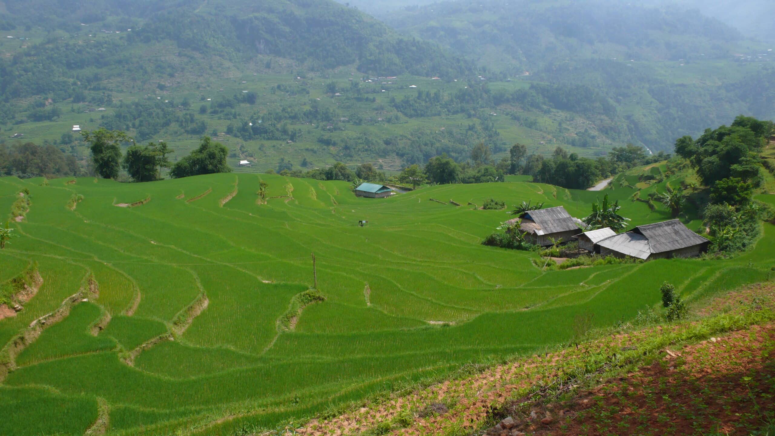 Explore Indochina Testimonials