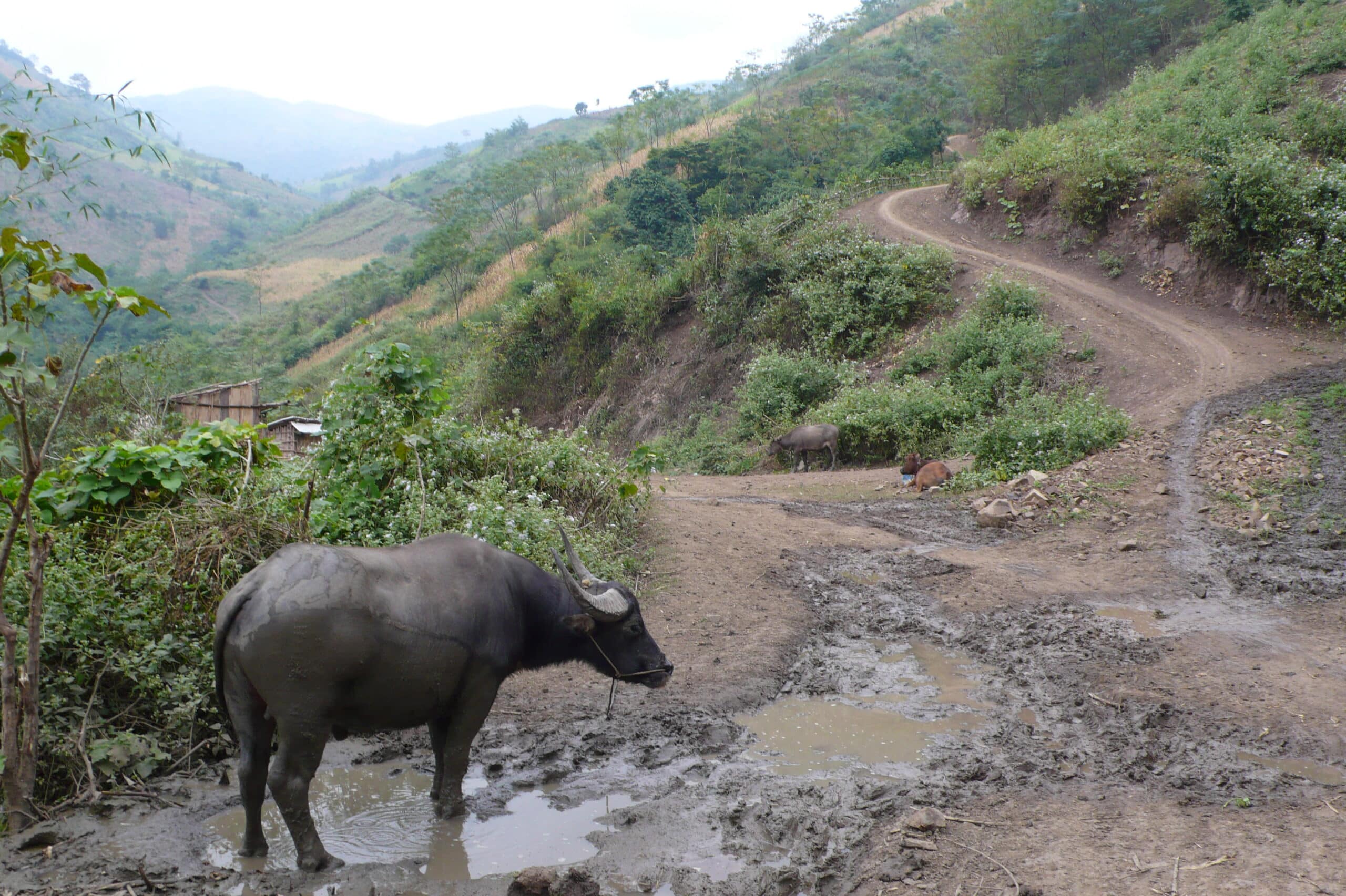 Explore Indochina Testimonials