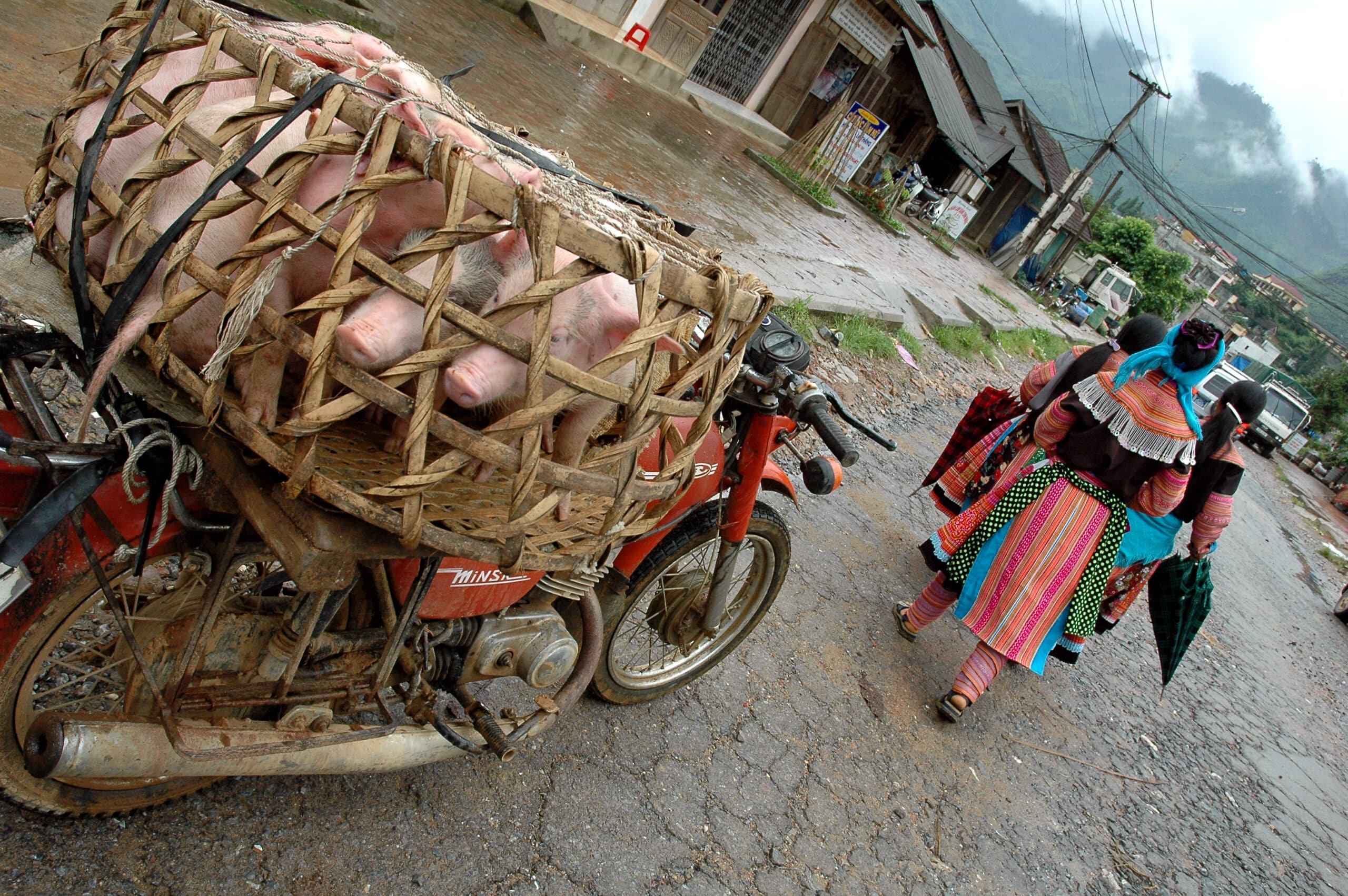 Explore Indochina Testimonials