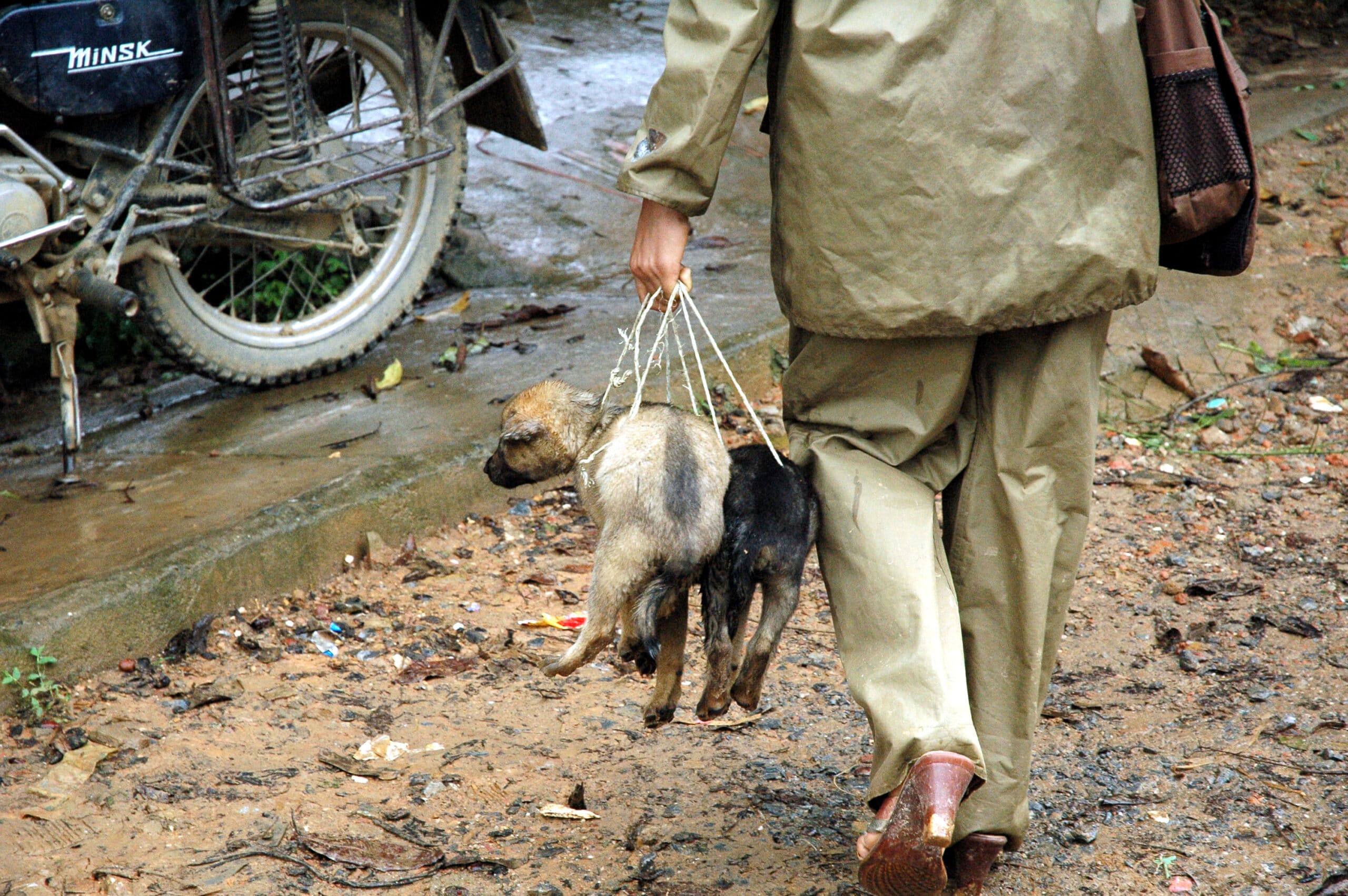 Explore Indochina Testimonials