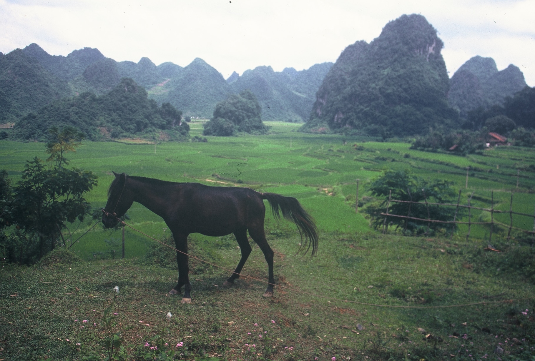 Explore Indochina Testimonials