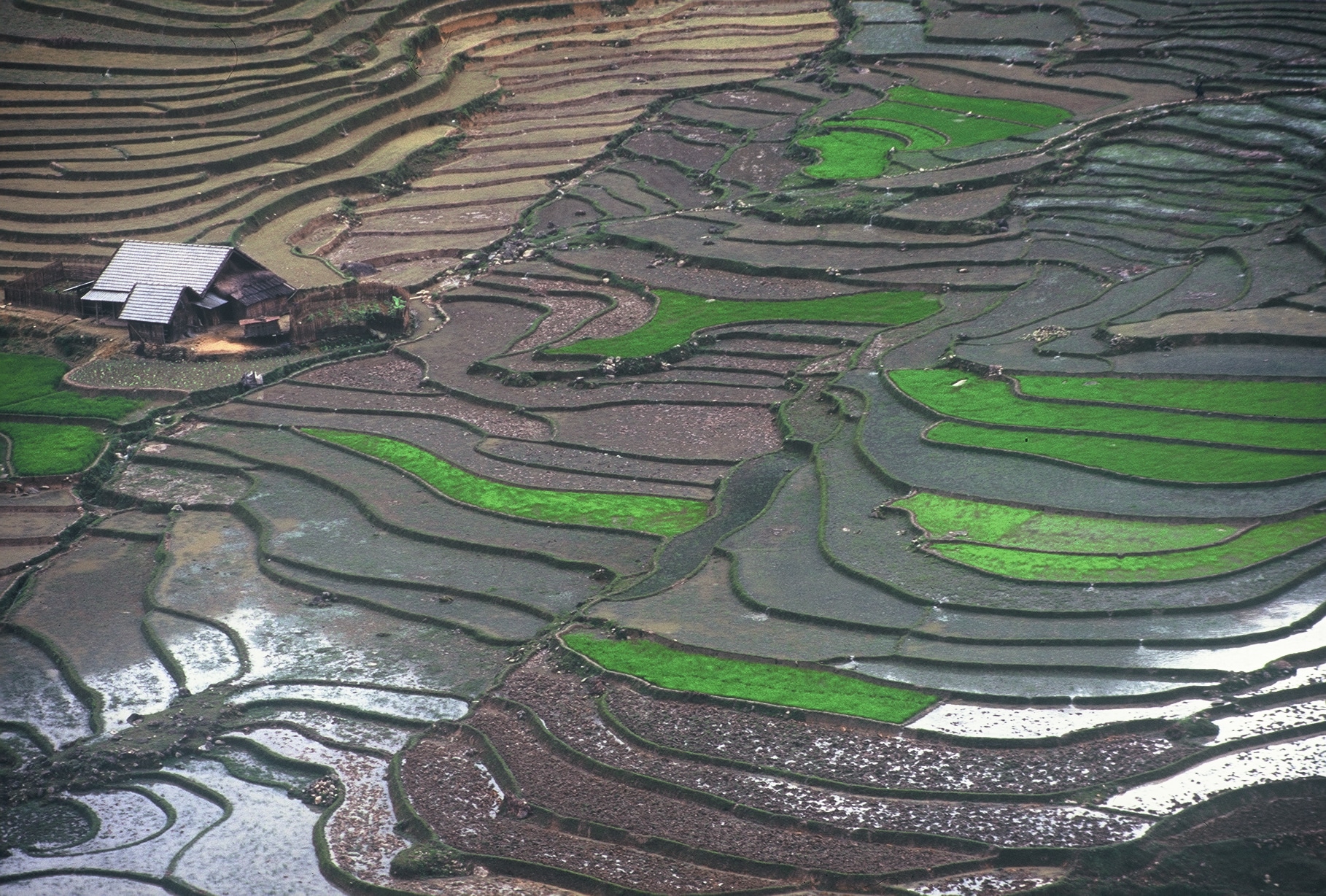 Explore Indochina Testimonials