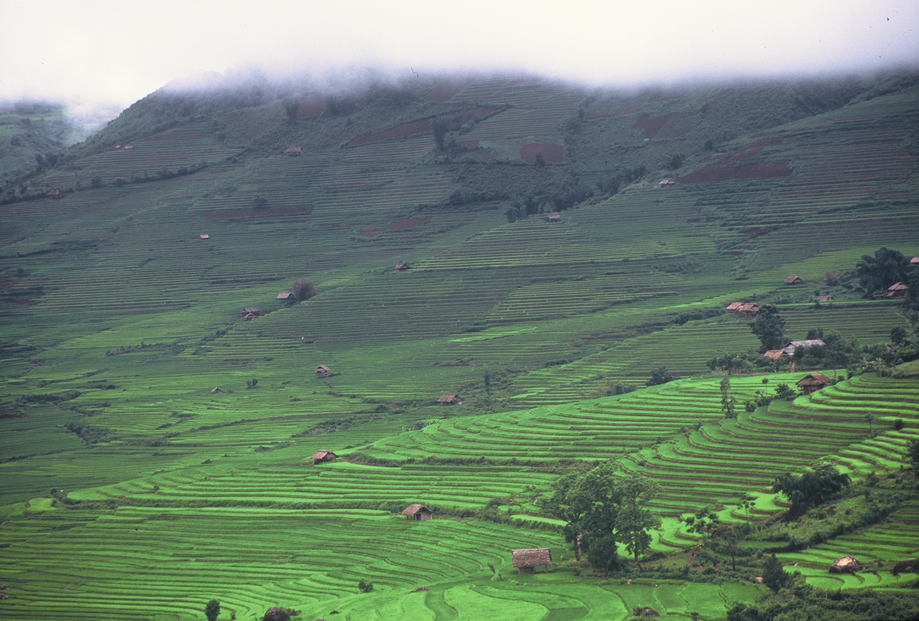 Explore Indochina Testimonials