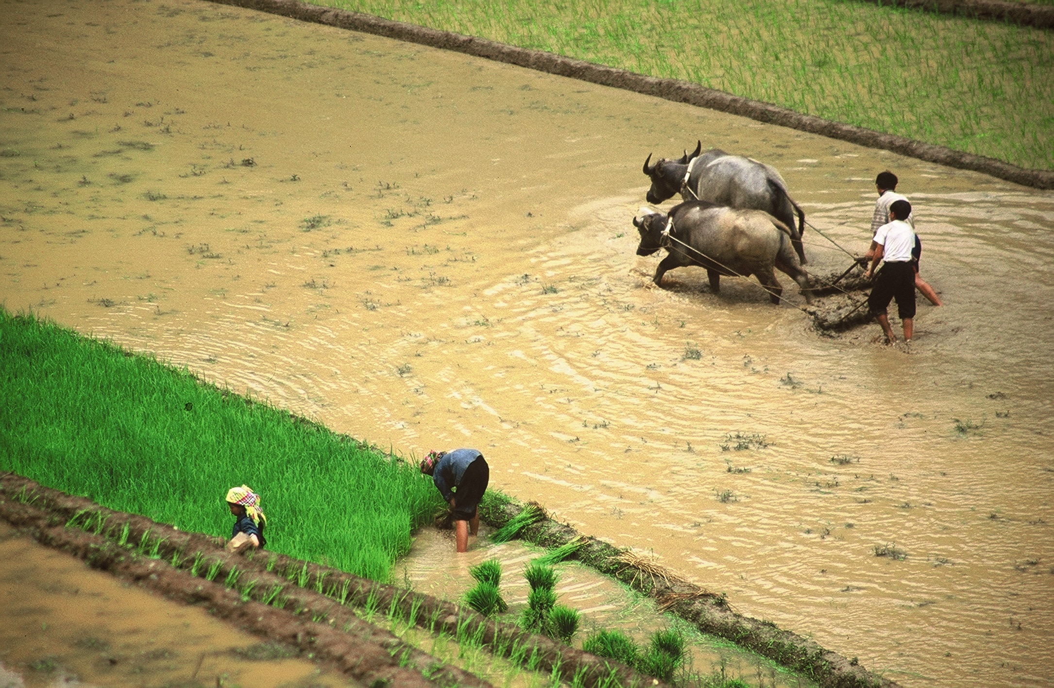 Explore Indochina Testimonials
