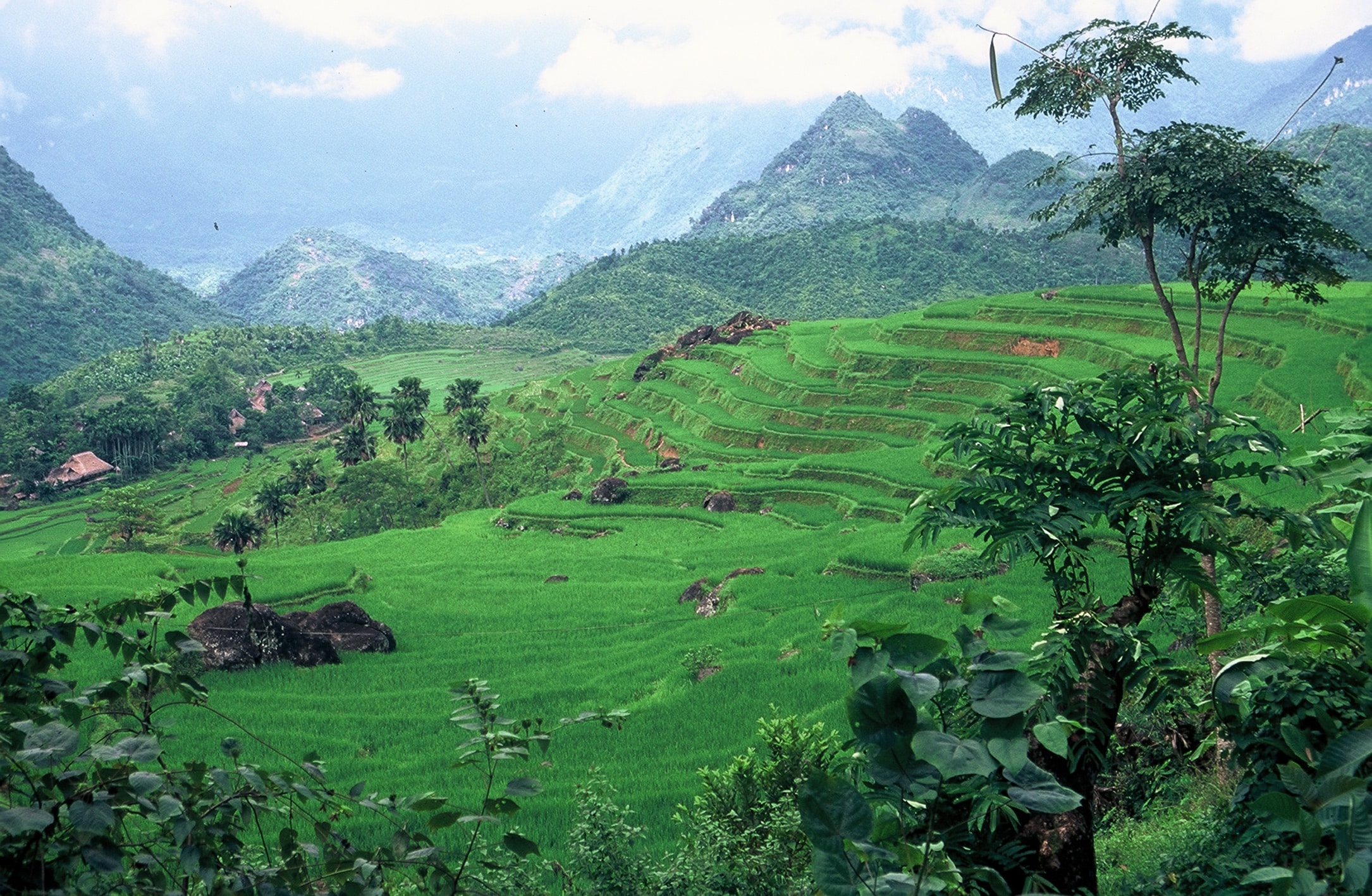 Explore Indochina Testimonials