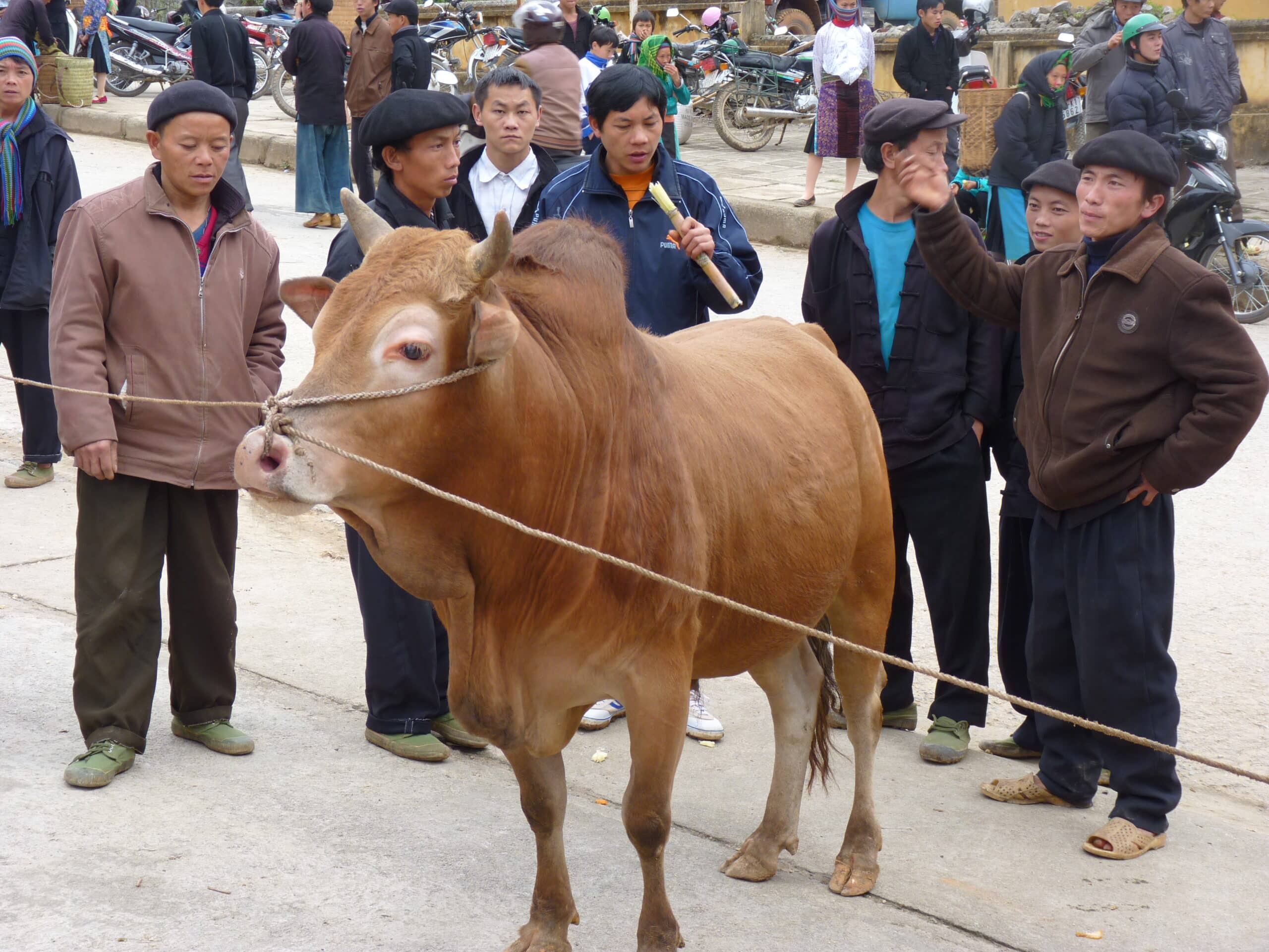 Explore Indochina Testimonials