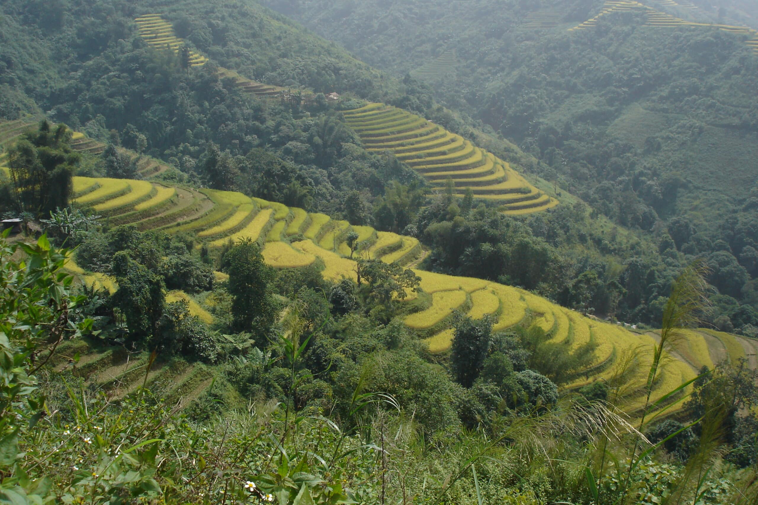Explore Indochina Testimonials