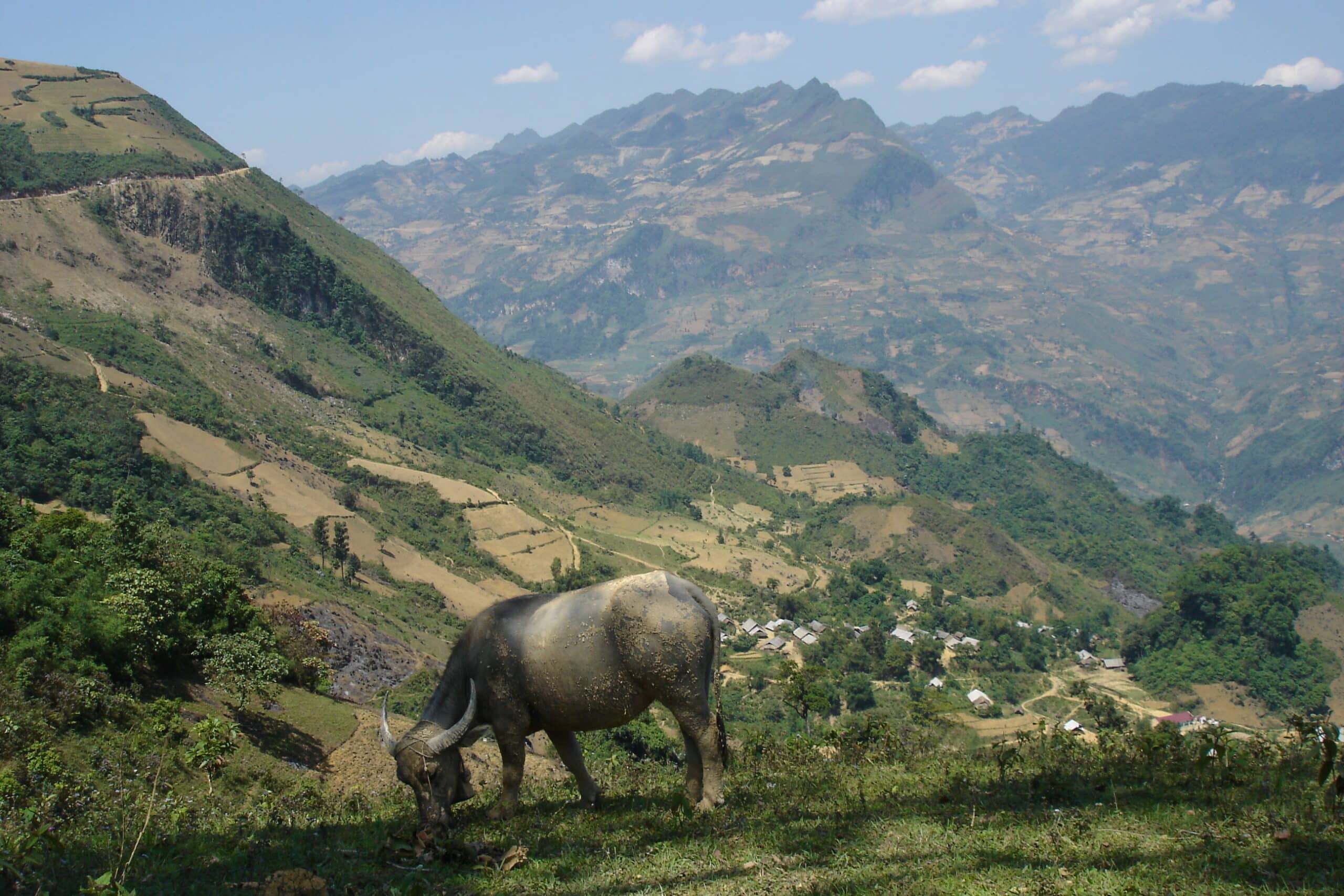 Explore Indochina Testimonials
