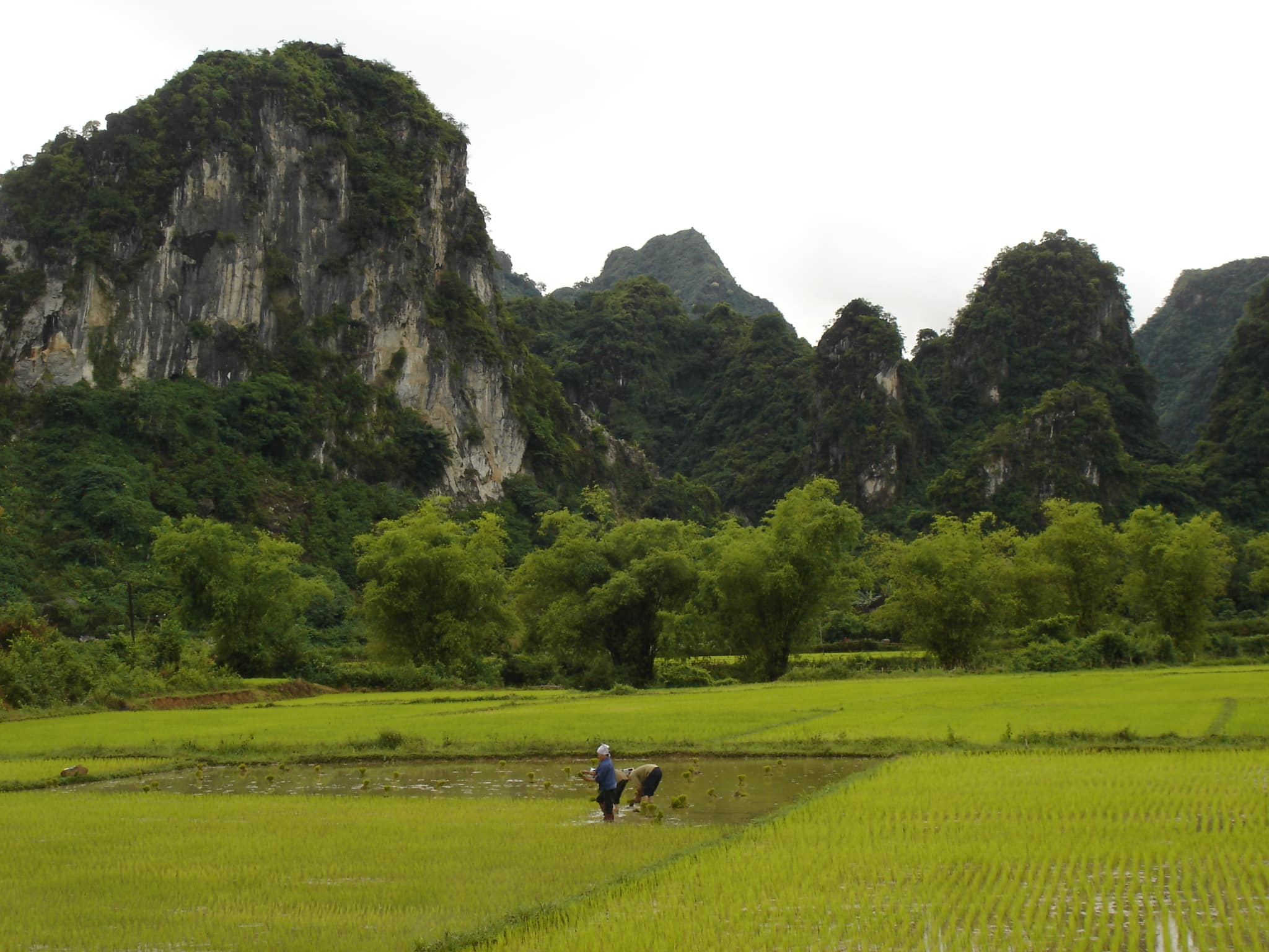 Explore Indochina Testimonials
