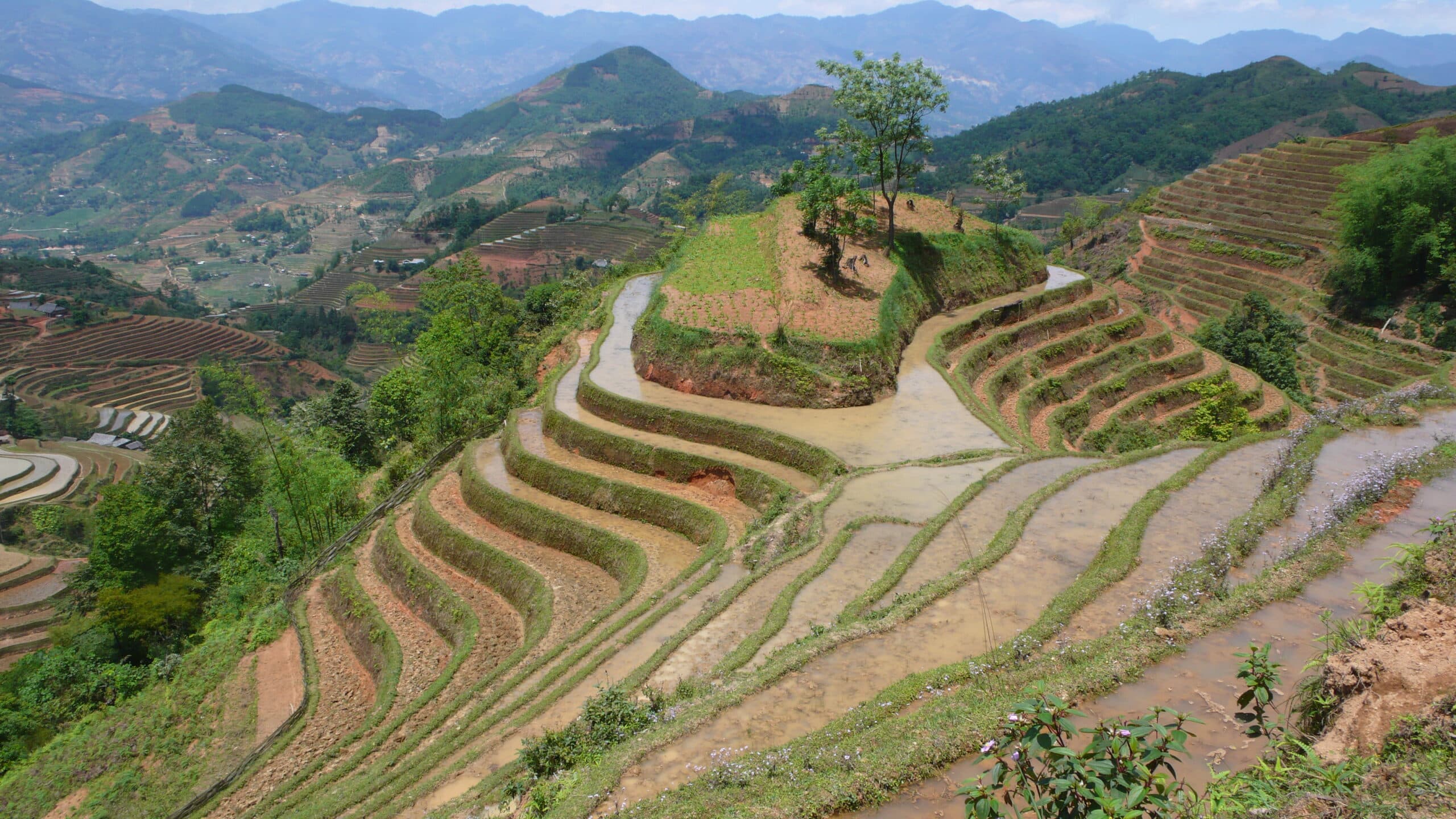 Explore Indochina Testimonials