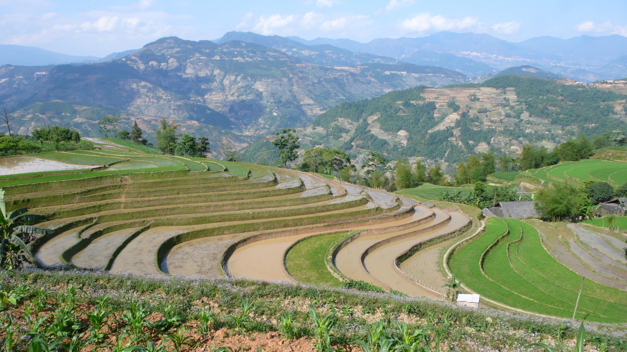 Explore Indochina Testimonials