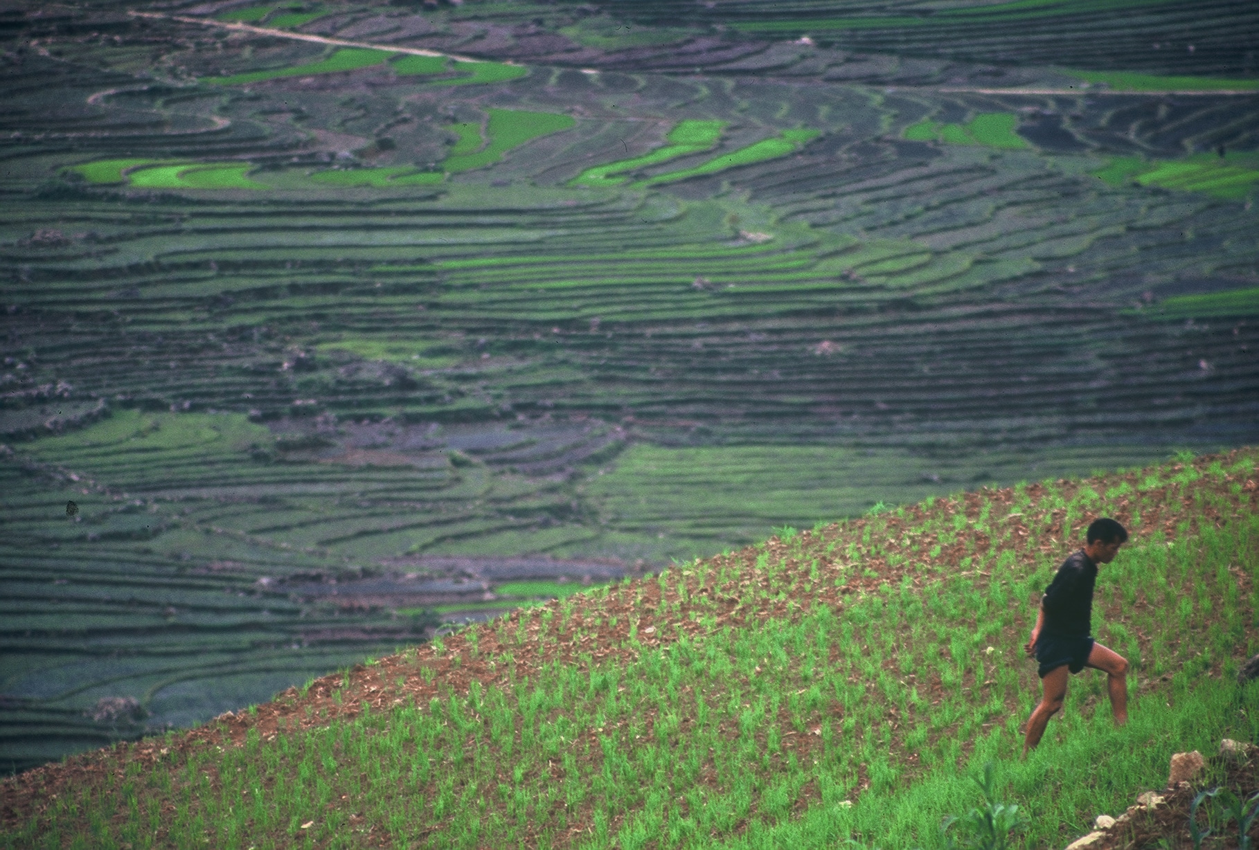 Explore Indochina Testimonials