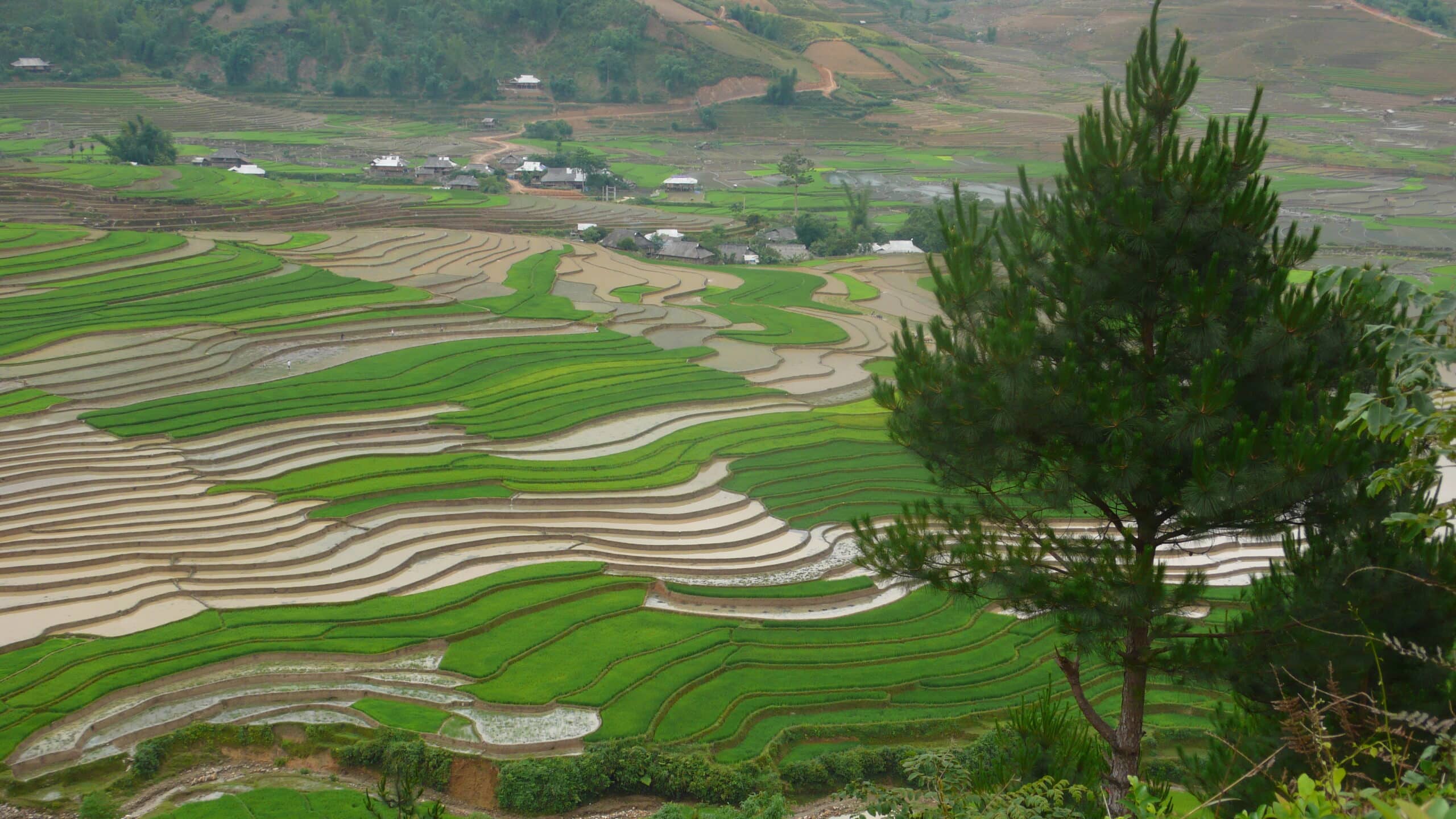 Explore Indochina Testimonials