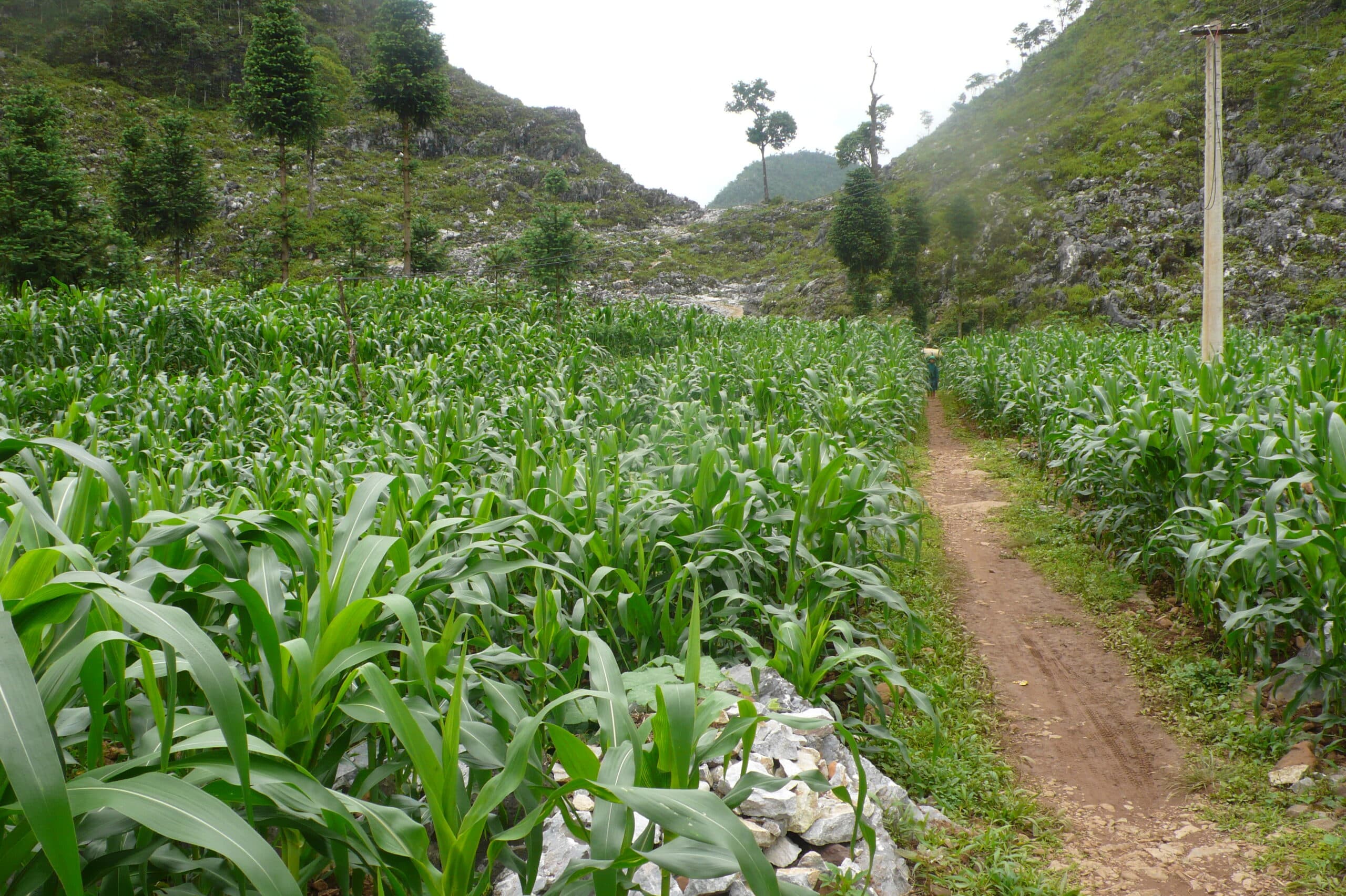 Explore Indochina Testimonials