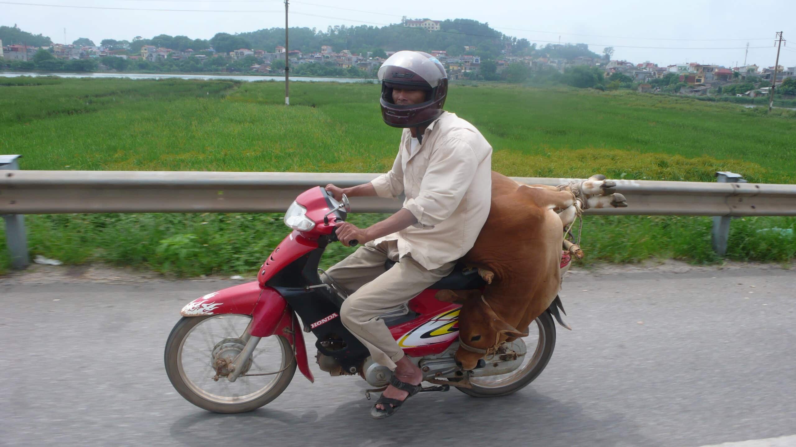 Explore Indochina Testimonials